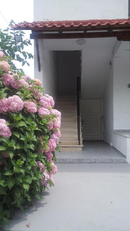 Georgoulas Apartments Paralía Skotínis Exteriér fotografie